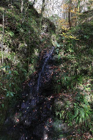 藤倉の滝