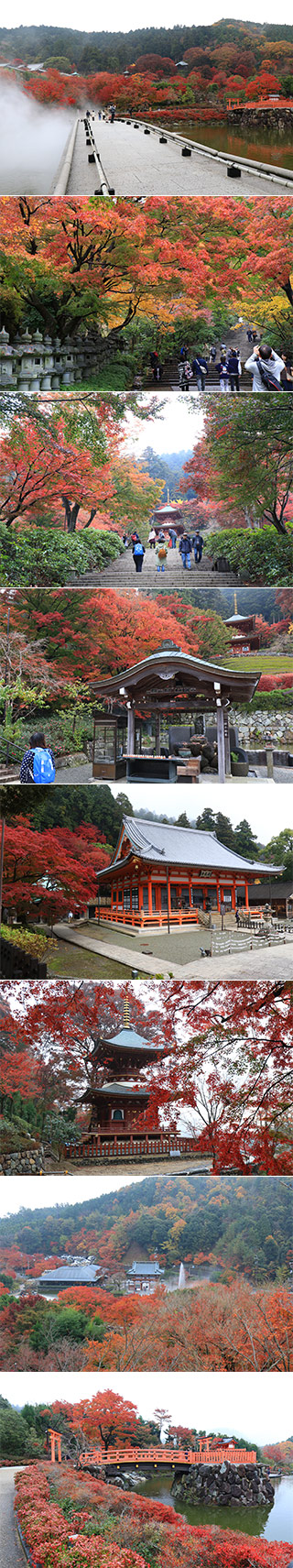 Koyo at Katsuo-ji