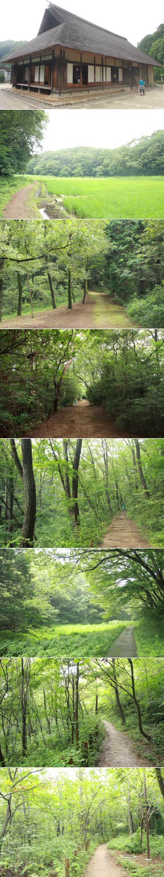 トトロの森・六道山公園