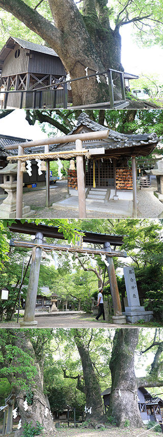 Fujishiro Shrine